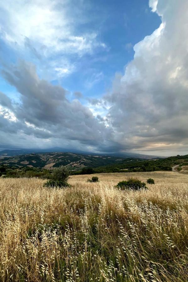 Casa Primavera A Rocca D'Orcia 카스틸리오니도르시아 외부 사진